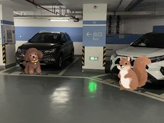 -北外滩来福士办公楼西塔-地下停车场