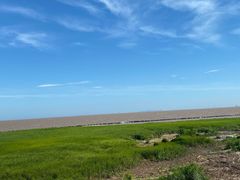 -南汇嘴观海公园