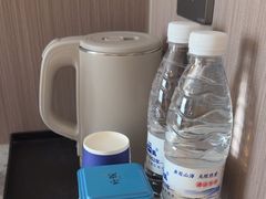 -龙禧盛精品酒店(天津西站店)