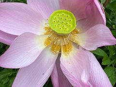 -苏州香山国际大酒店