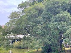 -人民公园(罗湖区)