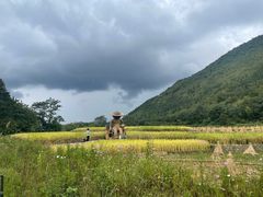 -万峰林风景区