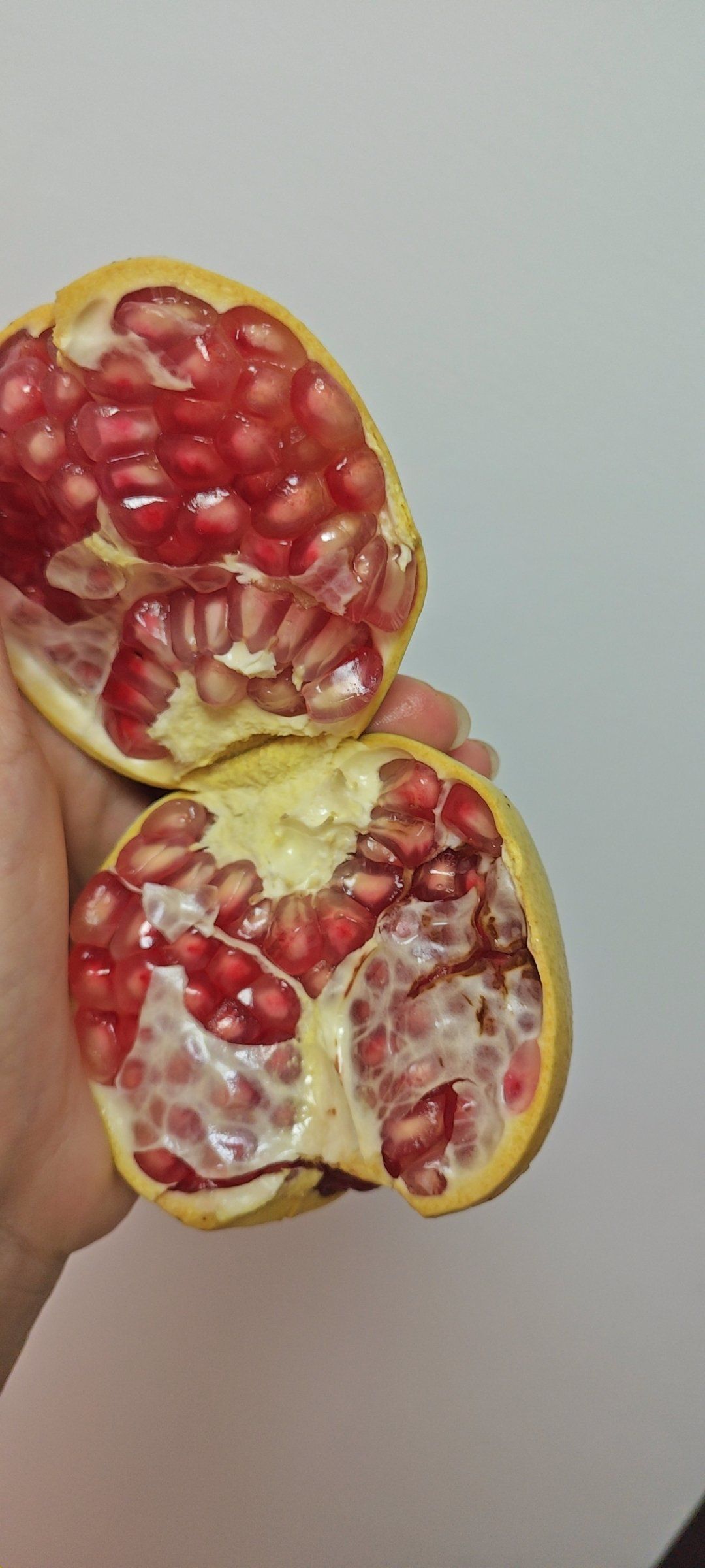 天天领红包 今天吃了几个石榴都是烂的