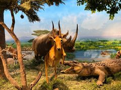 -国家自然博物馆