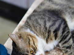 -玉椰林甜品店(创始店)