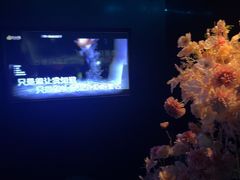 -黑桃K生日订制KTV