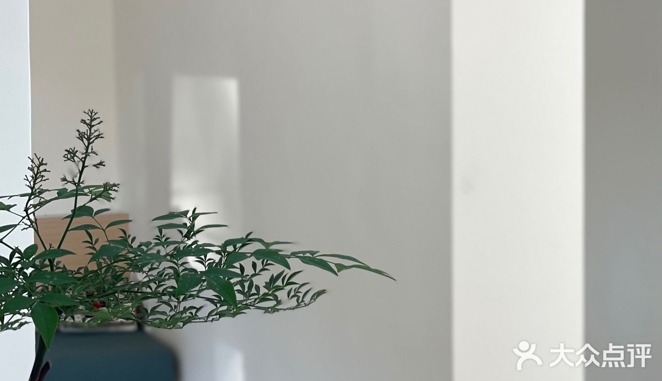 心夏｜新中式茶酒馆🏮一秒穿越《梦华录》