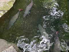 -青青世界