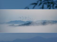 -蜀留香石锅鱼(六顺街店)