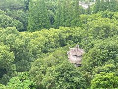 -宁波市保国寺古建筑博物馆