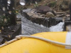 -将军关探险漂流