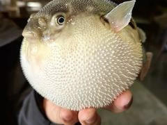 -永安鱼庄·镇江菜(东吴路店)