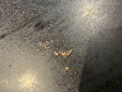 -小媳妇铁锅炖(安华街店)