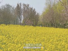 -赵州桥景区