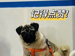 -凤城·食都