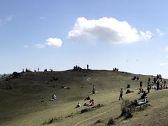 -大姆山草场