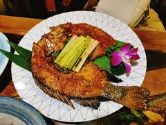 香茅草烤罗非鱼-紫滇源云南生态菜(丹凤街店)