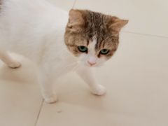 -怪兽屋·羊驼·猫咖·狗咖(俊华广场店)