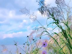 -大理洱海