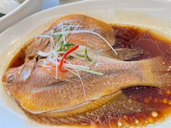 -华盛丰温州大排档(东三环南路店)