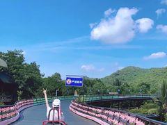 -海南槟榔谷黎苗文化旅游区