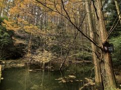 -山王坪喀斯特国家生态公园