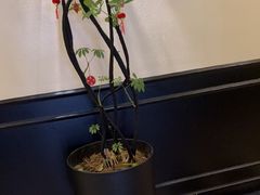 -涟LIAN·泰式按摩·MASSAGE·SPA(深业上城店)