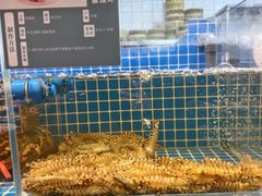 -東大方(湖州白鹭迎店)