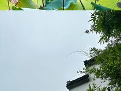 -菱湖风景区