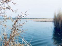 -野鸭湖国家湿地公园