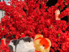 -八一路好吃街(雨田商务大厦店)