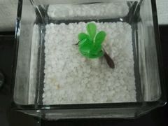 -桔子酒店(天津五大道店)