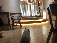 大堂-猫小主咖啡·猫咖cat cafe(福田店)