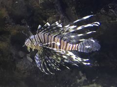 -厦门海底世界
