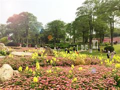 -松山湖南湖湾露营营地