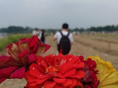 -海珠湖公园