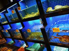 -徽三说·土徽菜·中国徽菜连锁品牌(一中店)