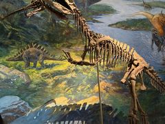 -自贡恐龙博物馆