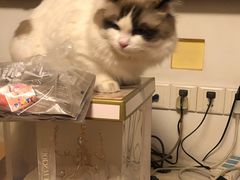 -美丽心情蛋糕(江苏路店)