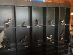 -南京金牛湖风景区