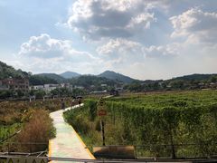 -红山村