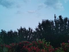 -东升八家郊野公园