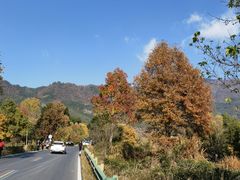 -塔川景区