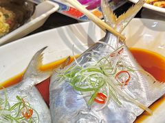 -京悦南门涮羊肉·羊蝎子火锅(田林路店)