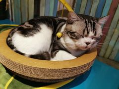 -小时光咖啡馆(开森度假森林店)