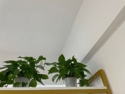 -凡碧诗毛孔收细