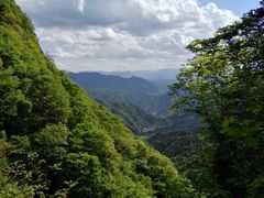 -王顺山国家森林公园