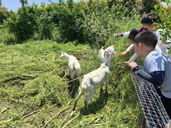 -小鱼草莓采摘园农家乐·小鱼餐厅