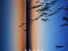 -丁香湖公园