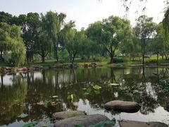 -苏州金鸡湖大酒店